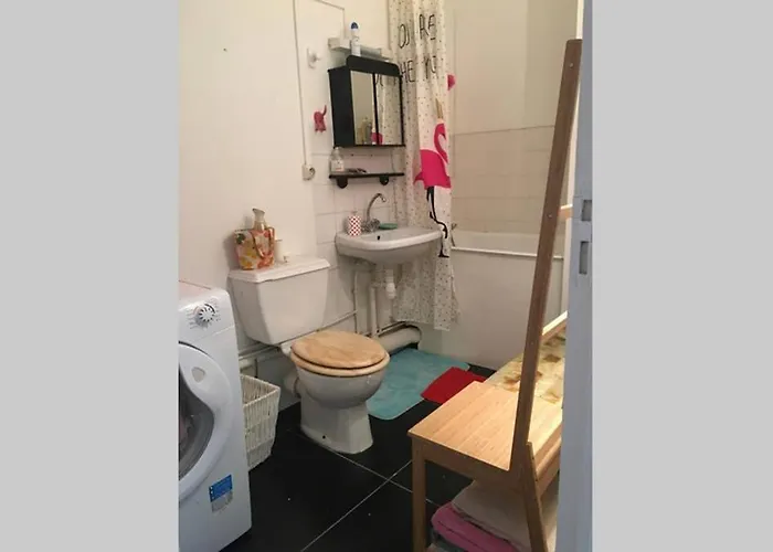 Plein Centre Apartment